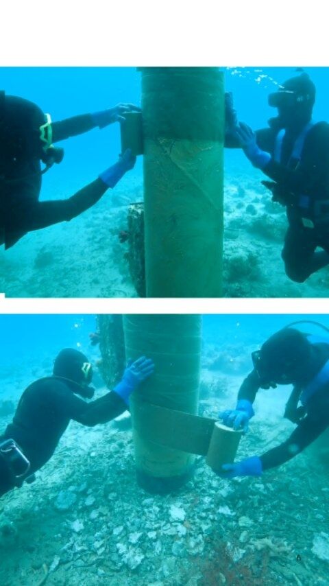 潜水士のお仕事紹介 ⛑️  港湾や漁港の防波堤や岸壁、物揚場などの構造物の基礎を築造するための海底作業、鋼構造物の水中溶接作業、コンクリートブロックの据付け作業👷  沈没船の引き上げ（サルベージ）、船底の清掃、点検補修作業🪖  魚貝類の採取、魚礁の設置🐟  災害や事故時のレスキュー活動、水中撮影、海洋調査・観察などなど💪💪  現在15人のダイバーが活躍中 😇
海を守るヒーローかっこいいですよ😊✨✨  現在海洋開発では、一緒に働く仲間を募集中👷⛑️
少しでも興味を持った方は気軽にDM下さい📩！！  #海洋開発株式会社 #潜水士の仕事 #小型船 #現場主義 #港湾作業
#建設業 #建設会社 #土木工事 #施工管理 #職人 #作業員 #重機
#海洋 #船舶作業 #潜水士 #ダイバー #海が好き #下関 #未経験歓迎
#インフラを支える仕事 #採用情報あり #海を守るヒーロー