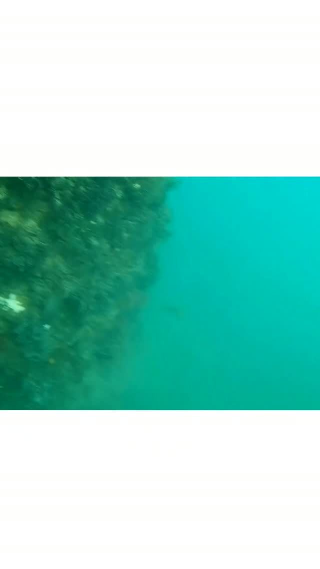 水中という特殊な環境で、高い技術と冷静な判断が求められる水中溶接。  橋や港、船舶など、私たちの暮らしを支えるインフラを陰で支えています💪🔥✴  現在海洋開発では、一緒に働く仲間を募集中です🙌‼️✨  #海洋開発株式会社 
#下関 
#潜水士
#水中溶接 
#求人募集